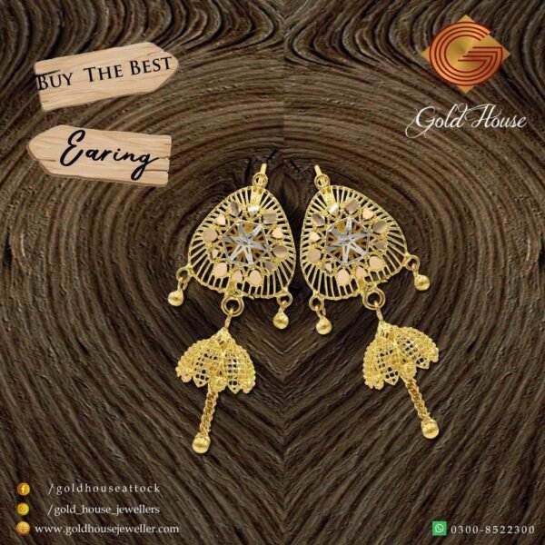 Earring Design 055